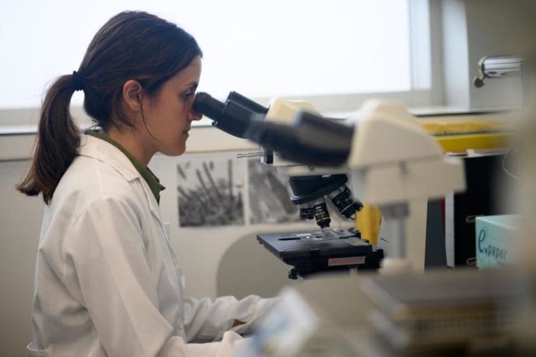 El Centro de Investigación Príncipe Felipe impulsa la investigación en cáncer con el enfoque en nuevas terapias para pacientes