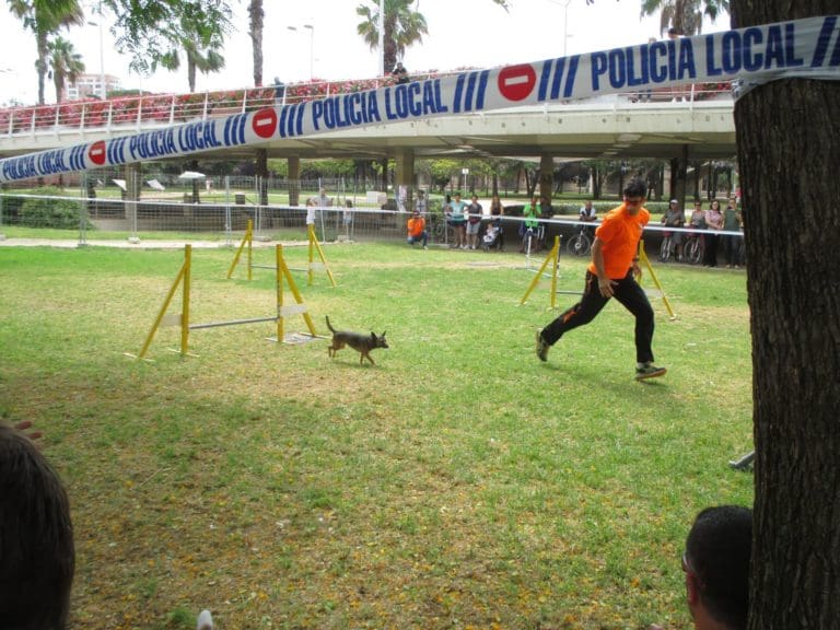La Feria de los Animales regresa este fin de semana al cauce del Túria