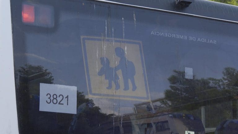 FAMPA denuncia otro inicio de curso con incidencias en el transporte escolar