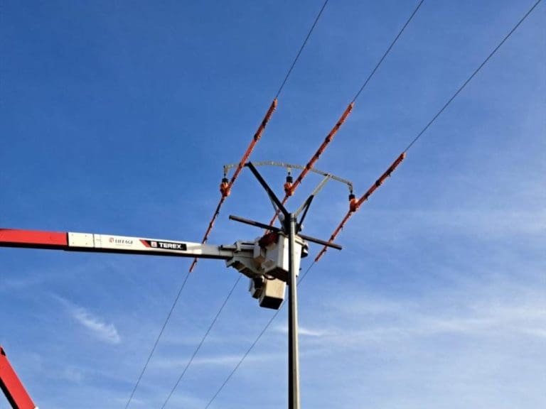 Nuevas tecnologías para proteger la fauna: crucetas aislantes en Moncada y Bétera