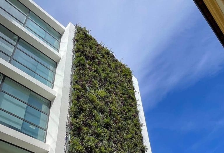 Regeneran los tres jardines verticales de la Central Operativa de Saneamiento de València
