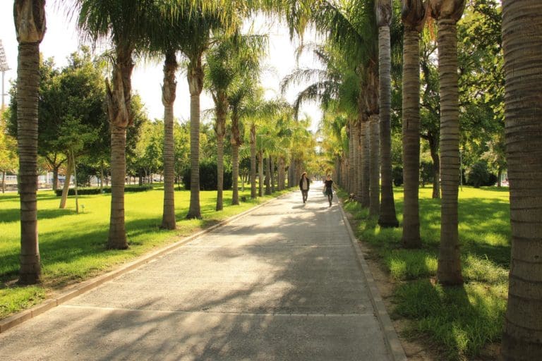 Aprobado el convenio para que las universidades valencianas contraten 707 plazas de profesorado ayudante doctor