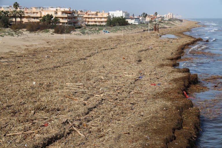 Cullera cierra las playas e inicia el trámite de limpieza urgente