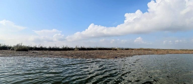 Controles del nivel del agua de l’Albufera para garantizar la seguridad de la zona