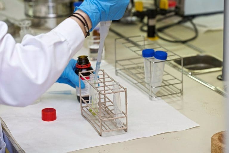 Educación invierte 2,4 millones en el talento investigador de la Comunitat Valenciana