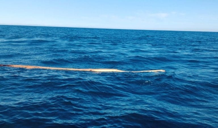 Transportes mantiene limitaciones a la velocidad de navegación y al fondeo de buques en las zonas de la DANA