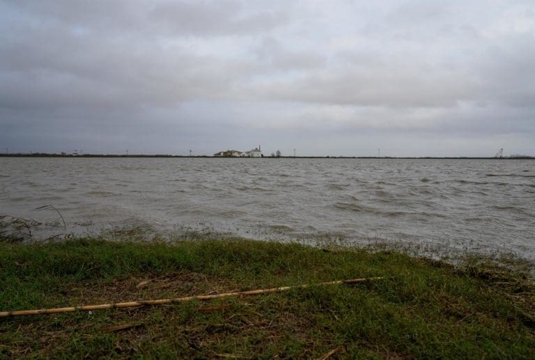 PSPV alegará para que el presupuesto de València incluya 10 millones para recuperar l’Albufera tras la dana