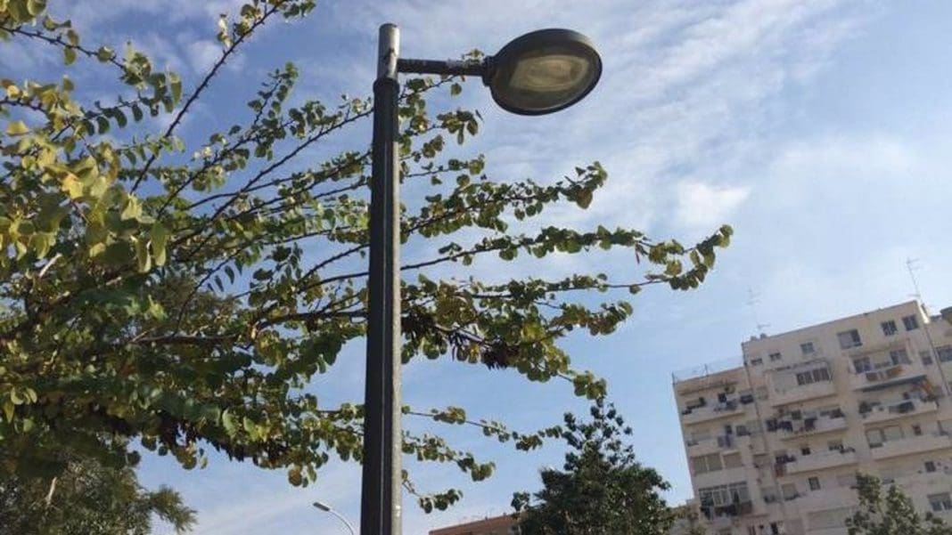 29/11/2024 Alumbrado de farolas en València POLITICA AYUNTAMIENTO VALÈNCIA