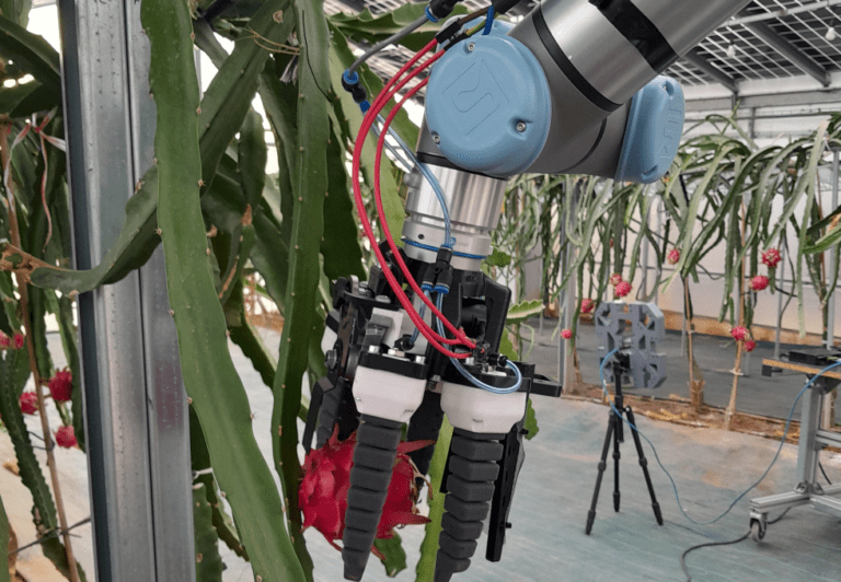 La revolución del campo: crean un robot valenciano que identifica la madurez de los frutos y los recolecta