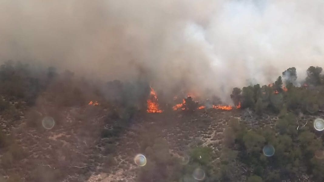 El Consell lanza ayudas de 450.000 euros para proyectos de voluntariado contra incendios forestales