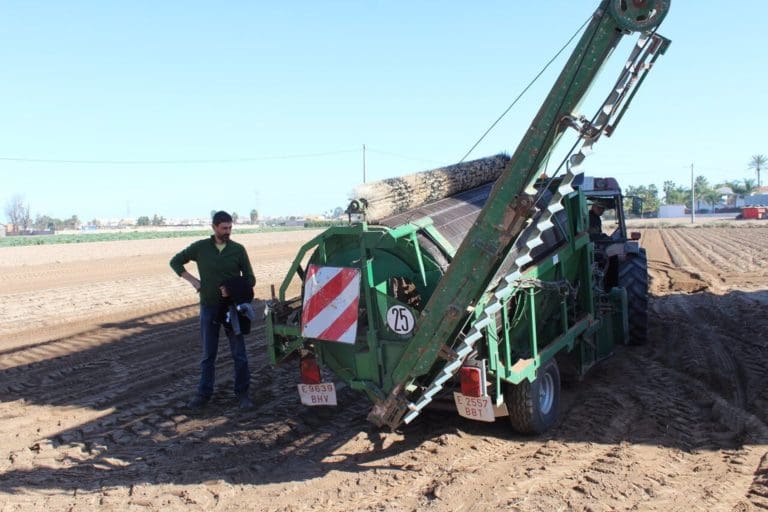 La Unió insta al Gobierno a negociar en Bruselas un código arancelario específico para la chufa