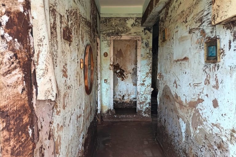 La Generalitat hace balance sobre vivienda pública tras la Dana: 116 adjudicadas y 261 solicitudes recibidas