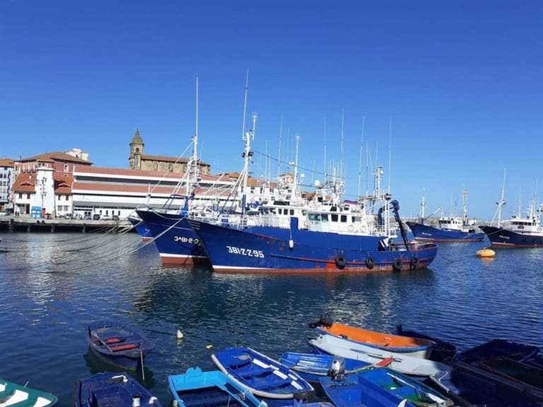 El Gobierno reparte el 90% de los días de pesca asignados a España para los buques de arrastre en Mediterráneo