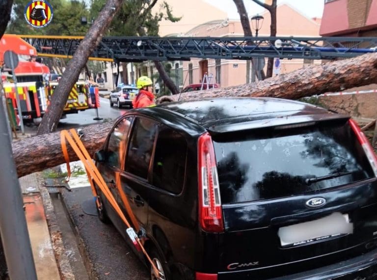 La caída de un árbol de grandes dimensiones deja atrapados a dos vehículos estacionados en Godella