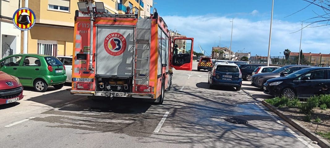 Incendio en Gandia. rescate de dos perros y tres gatos