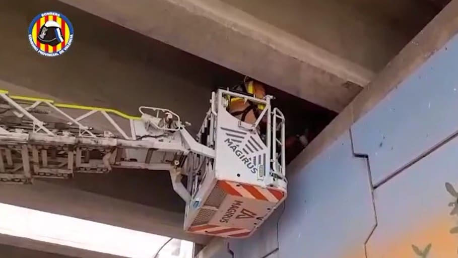 Bomberos rescatan cabra en Sagunt