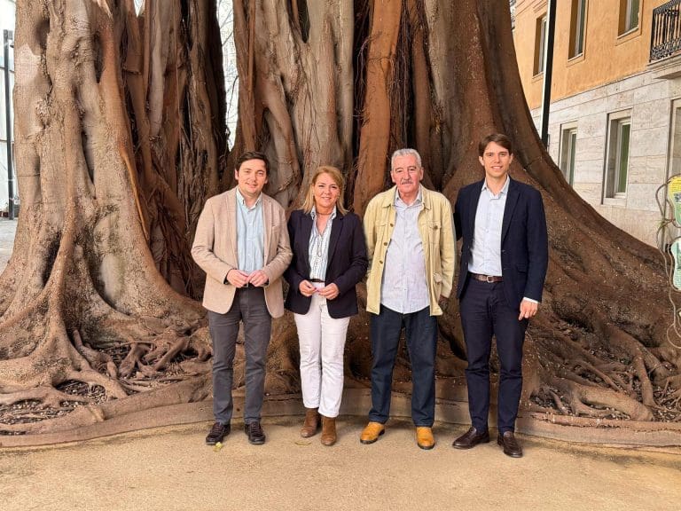 Les Corts aprobarán este jueves la ley del voluntariado, que adapta la legislación vigente a las ‘nuevas realidades’