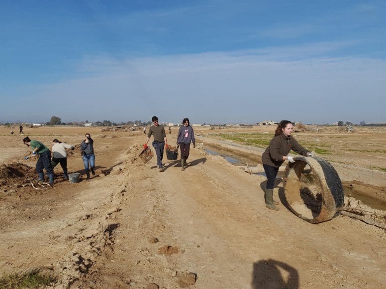 L’Albufera, ‘lejos de la normalidad’ cinco meses después del paso de la dana, advierte SEO/BirdLife