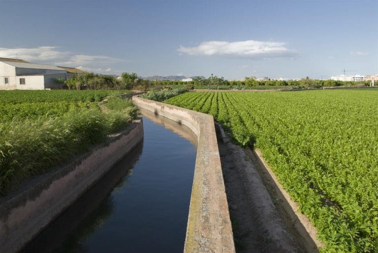 Agricultura inicia los trámites para ampliar hasta el 15 de mayo la presentación de solicitudes para la PAC 2025