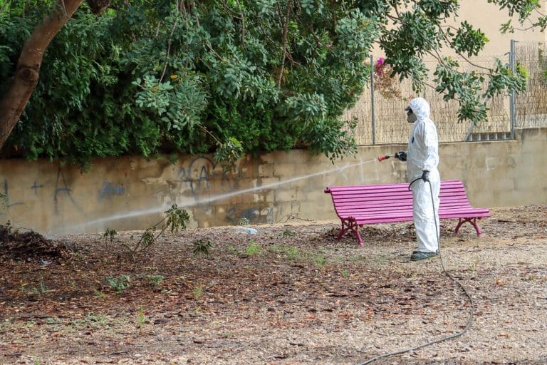Torrent adelanta la campaña del mosquito tigre a causa de las altas temperaturas