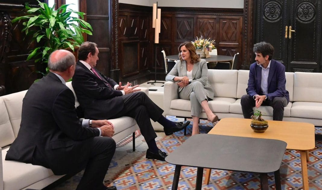 iluminación catedral valencia