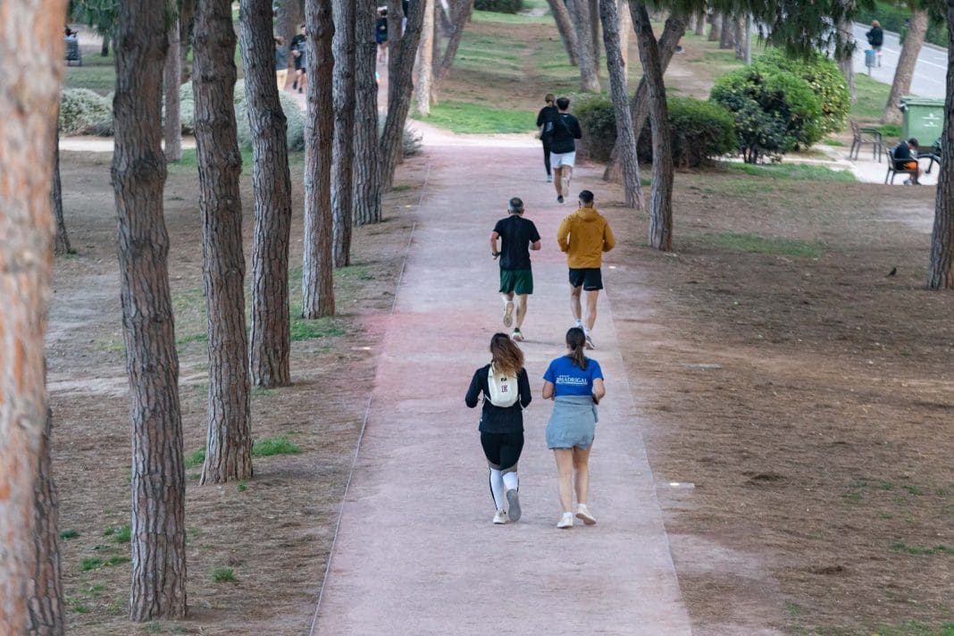 circuito jardín del turia