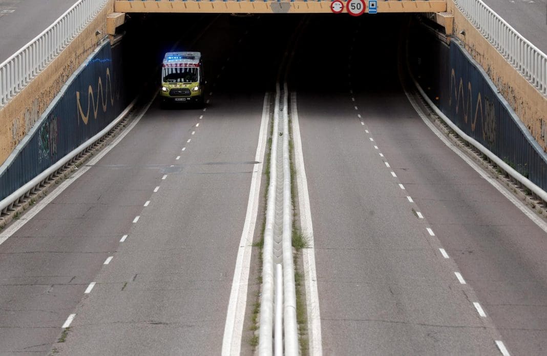 árbol tavernes blanques