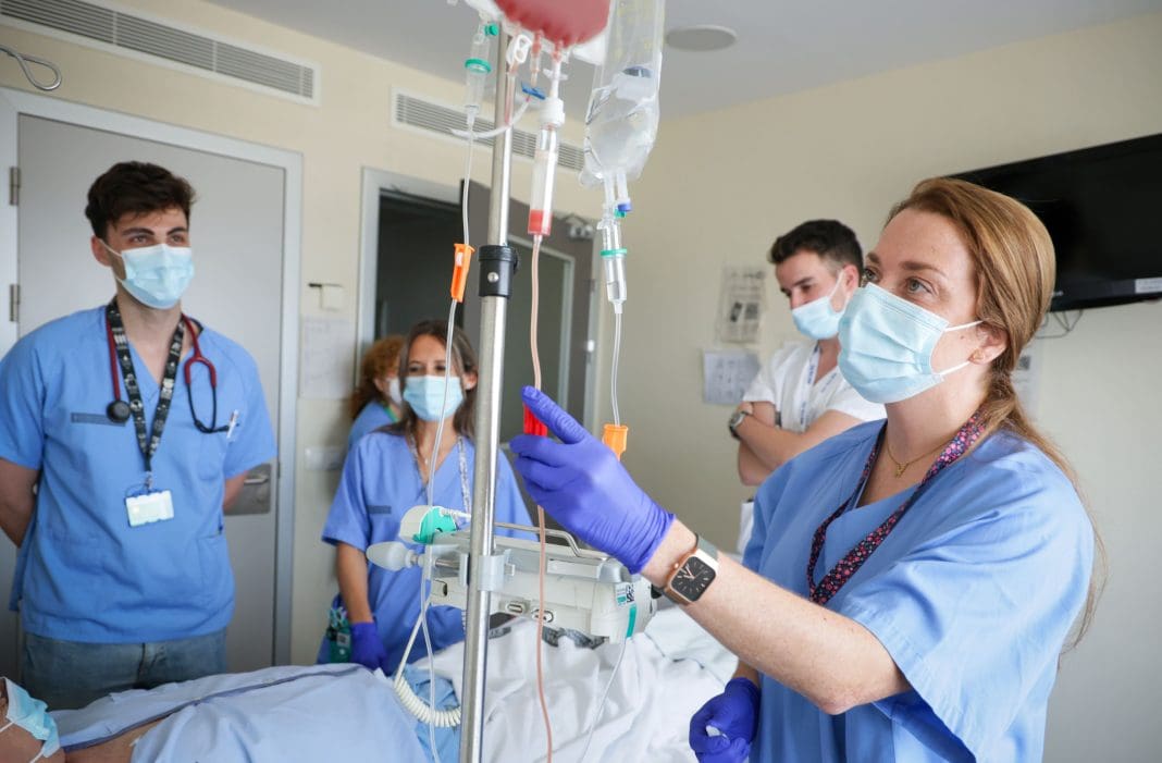 donaciones médula ósea