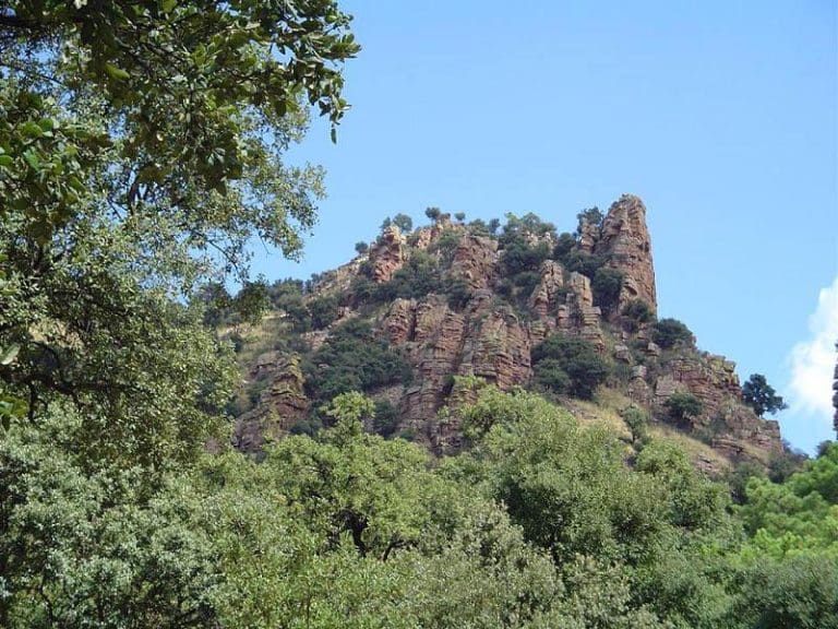 La Generalitat destina 7,9 millones de euros a 418 ayuntamientos para la prevención de incendios