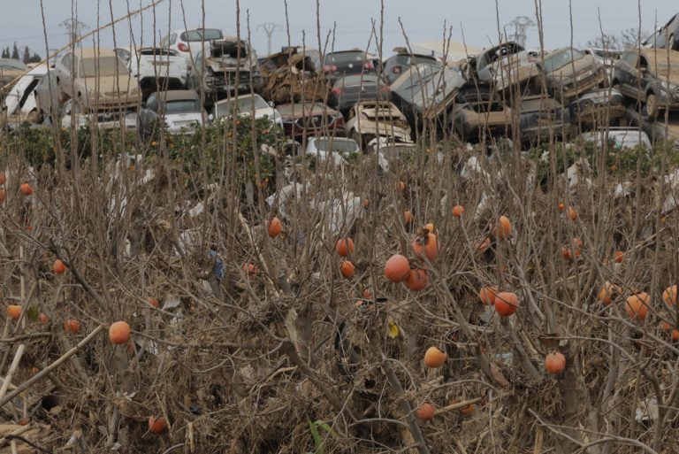 La Unió rechaza la distinción de la Generalitat por su ayuda tras la DANA