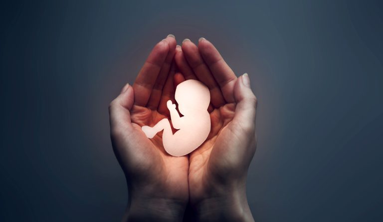 Solo el 9,95% de los abortos en la Comunitat se atendió en la sanidad pública