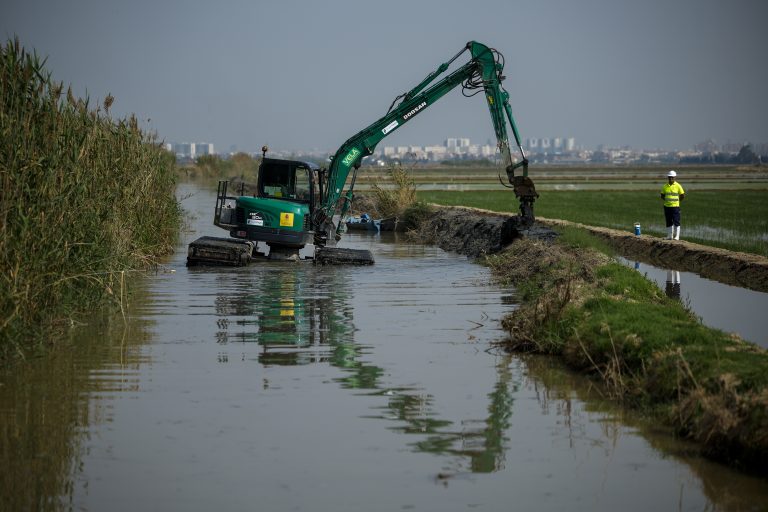Muere un trabajador en Casinos, tras quedar atrapado entre dos máquinas durante labores posdana
