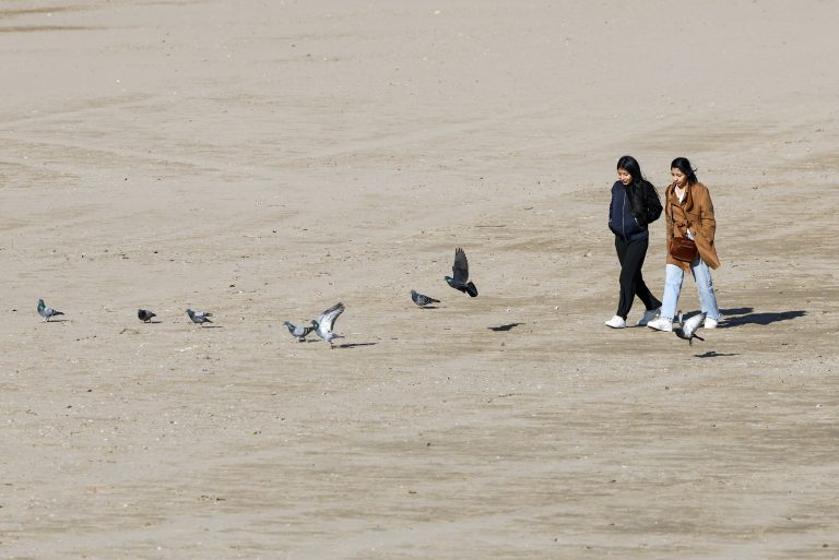 La semana arranca con cielo poco nuboso, máximas al alza y viento flojo en la Comunitat Valenciana