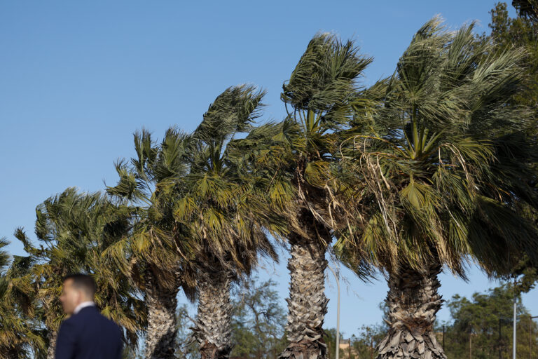 Alerta amarilla por viento en el interior de la Comunitat