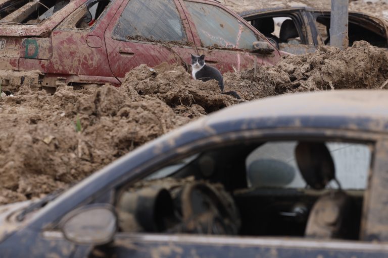 La Generalitat denuncia una convocatoria falsa de ayudas por la DANA