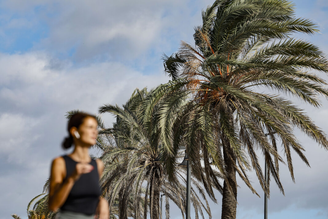 El tiempo en Valencia