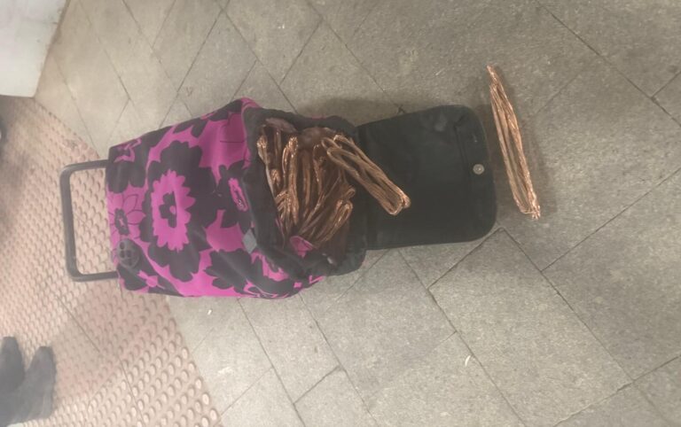 Dos detenidos por el robo de 100 kilos de cobre en las vías de alta velocidad en Algemesí