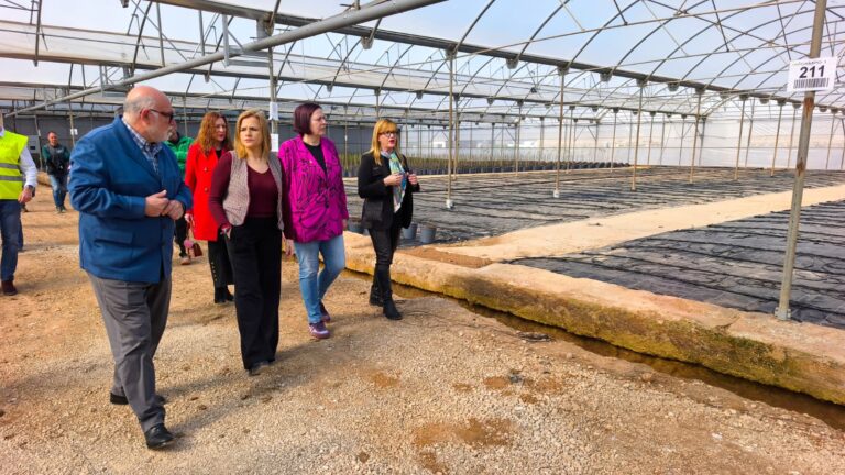 Agricultura ha invertido 26,4 millones en Chiva por los daños de la dana