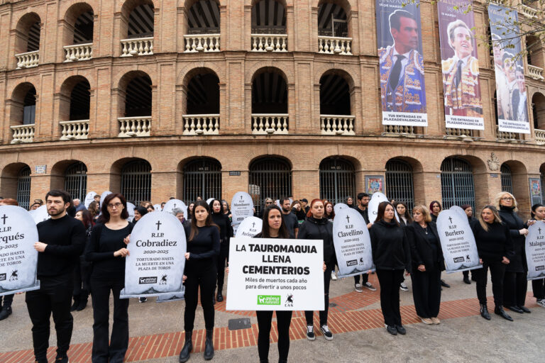 lápidas tauromaquia