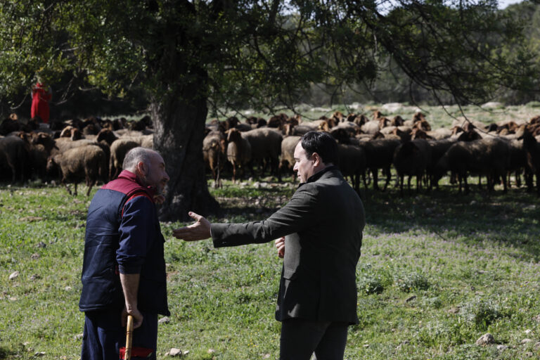 El Consell bajará impuestos y reducirá la burocracia para impulsar la ganadería extensiva