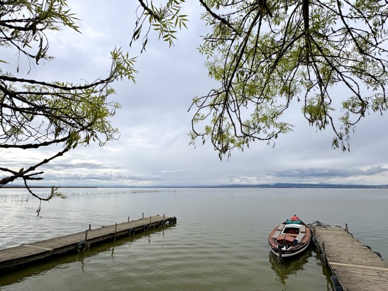 La CHJ no detecta parametros alarmantes en la calidad del agua tras la DANA